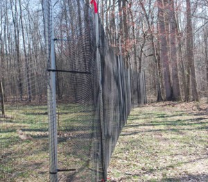 image of plastic deer fencing