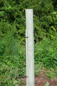 image of tubex tree tube with pvc tree tube stakes
