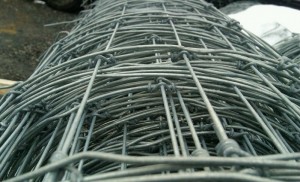 image of wire deer fence