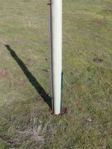 tree tube for protecting seedling trees from livestock